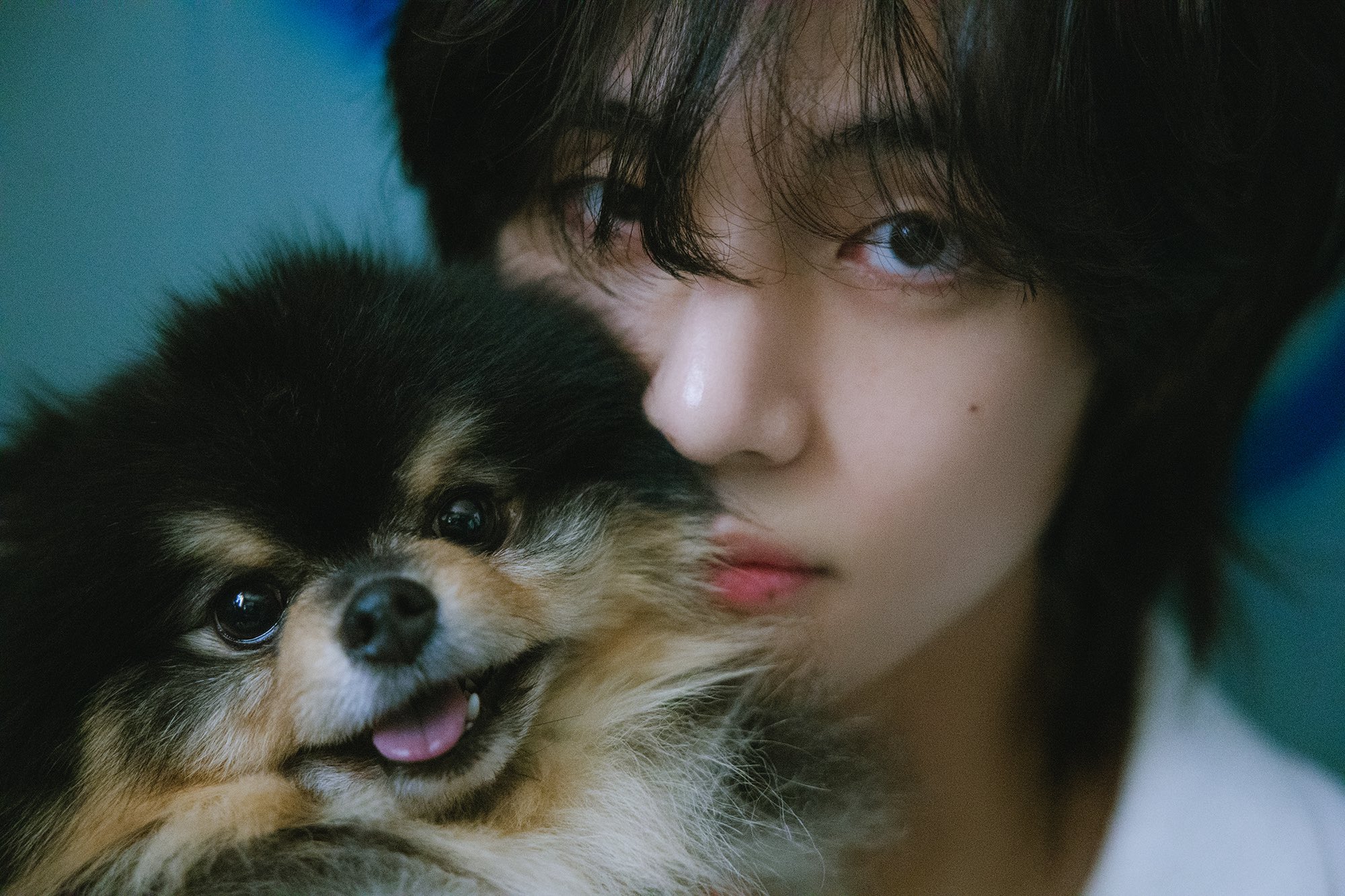 ARMY-Turut-Berduka-Yeontan-Anjing-Kesayangan-V-BTS-Meninggal